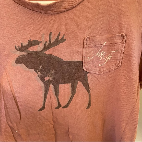 Abercrombie & Fitch Logo Tee // Dusty Pink // L - Picture 3 of 4